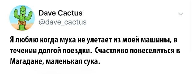 Смешные комментарии из социальных сетей 08.05.2019
