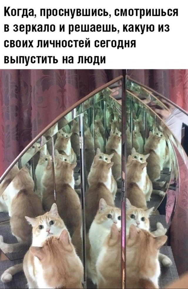 Картинки с надписями, истории и анекдоты