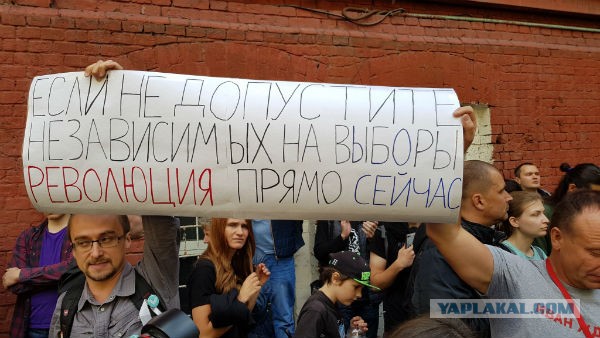Полный беспредел на выборах. Любовь Соболь объявила голодовку...