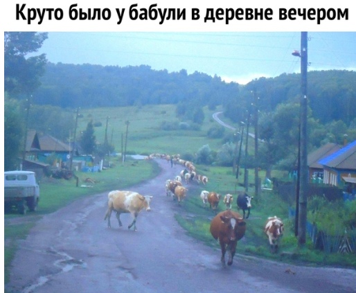 Немного картинок для настроения 19.10.19