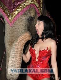 Новогодняя кричалка -- смотреть осторожно!