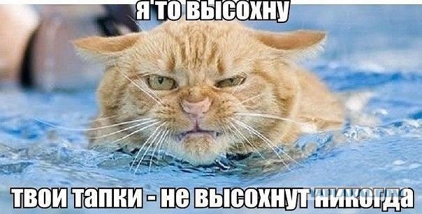 Подборка фото 15.02.20