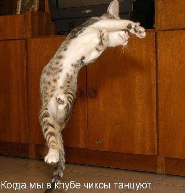 Чуток картинок.  Вечерние