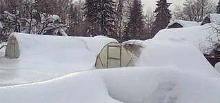 А может теплицами меряться будем?