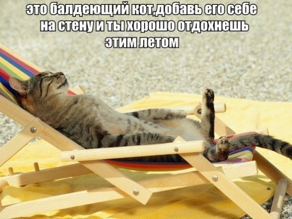 Прикольные и просто красивые картинки 09.04.2020