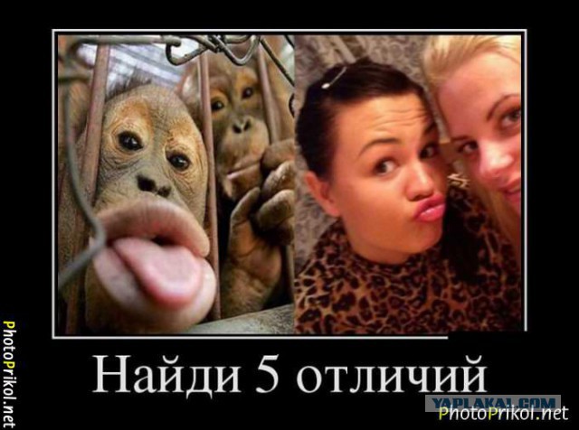 Девушки из Facebook 2