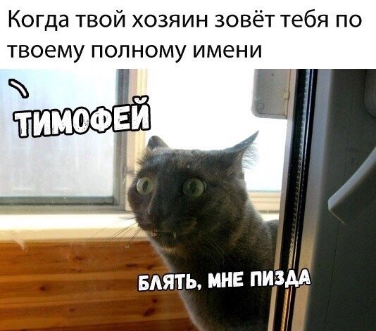 Немного картинок для настроения 12.05.20
