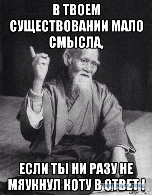 цитаты с котиками. в смысле не менее 1. в смысле не менее 1. памятник на работе всё равно. в смысле не менее 1.