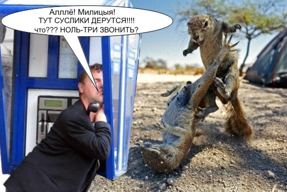 Фотожаба: Алло!