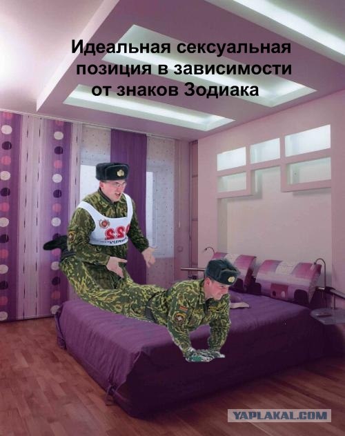 Битва фотожаберов (команда №3), Армия будущего