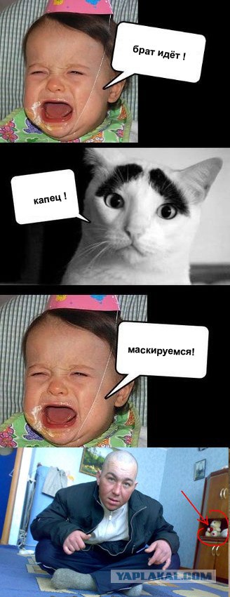Фотожаба: Что случилось, малыш?