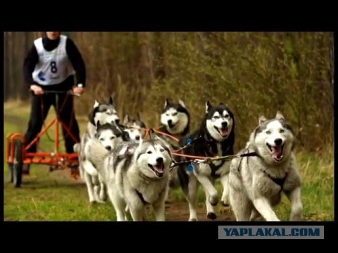 Уверенно стартанул