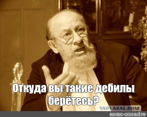 Депутат "Единой России" Журова: Клоунам пенсионный возраст поднять, президента не трогать