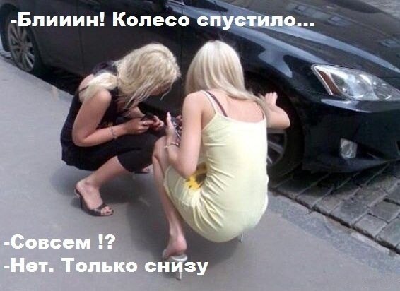 Аморальная подготовка к праздникам