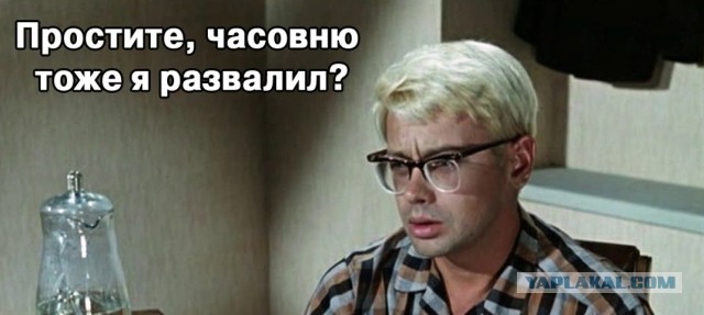 В Госдуме единороссы предложили гуманно убивать бездомных животных