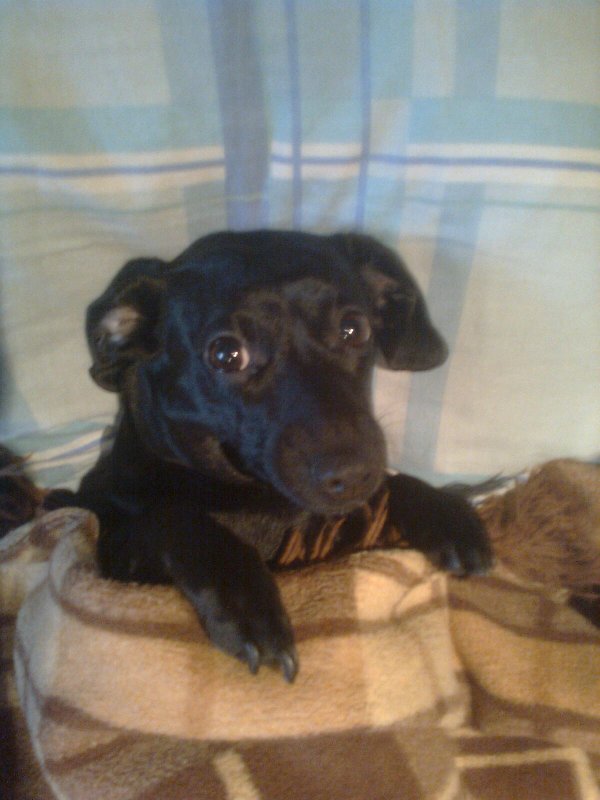 Можно я с краешку прилягу?