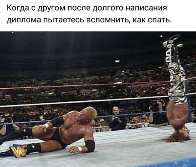 "Солянка" из картинок для улыбнуться или позалипать в среду