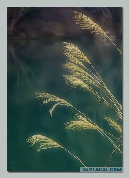 Фото от Andrew Campbell
