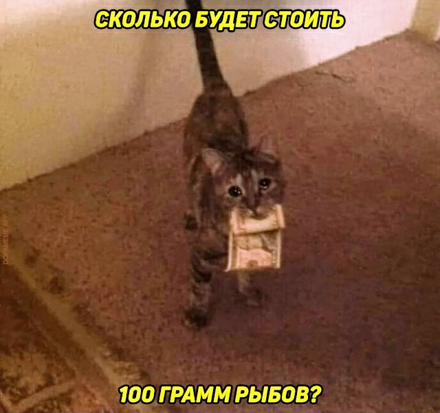 Картинки и мемы для настроения 11.08.2021