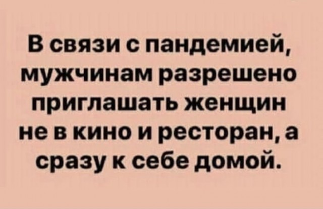 16208051.jpg