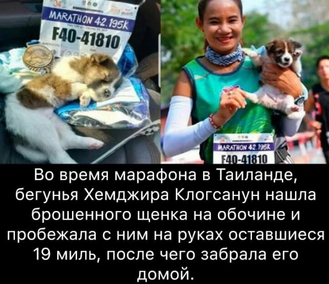 Чуток картинок 09.12.21