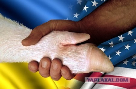 России это не нужно, мы остаёмся наедине с собой»: прозрение украинца