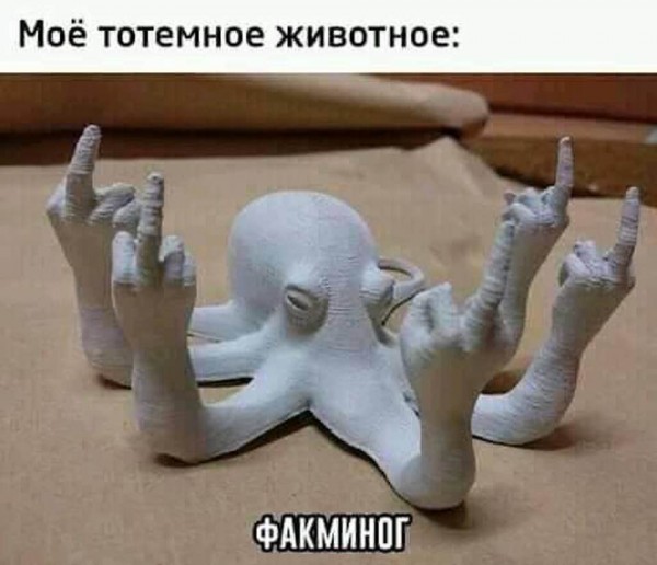 Картинки всякие на выходные #3