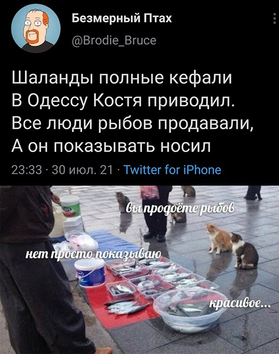 Картинки и мемы для настроения - 21