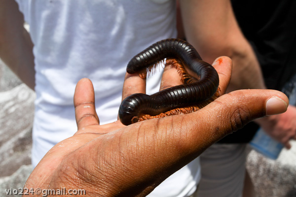 Сейшеллы октябрь 2012