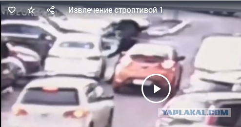 Извлечение строптивой