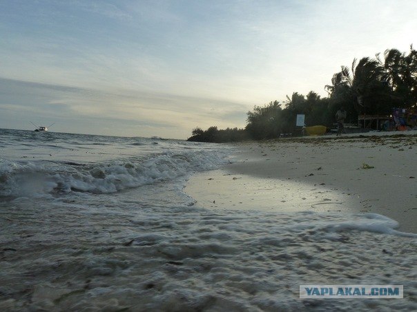 AFRICA - (Эфиопия,Кения,Танзация) 4-16 ноября 2011