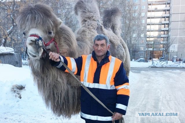 Отрезвляюще
