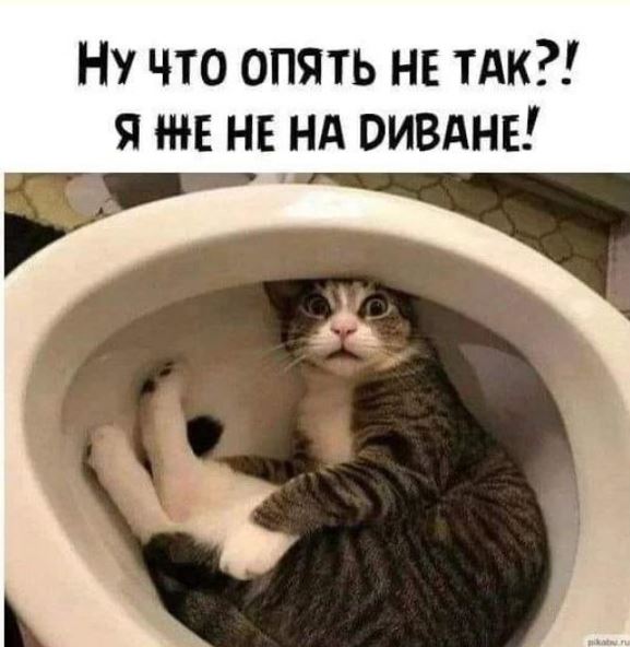 Победная поступь идиотизма по планете – том 10