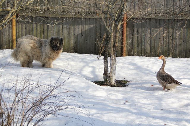 Такая вот дружба