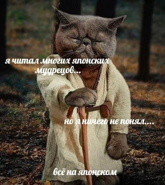 Весёлый полтишок 12.11.23