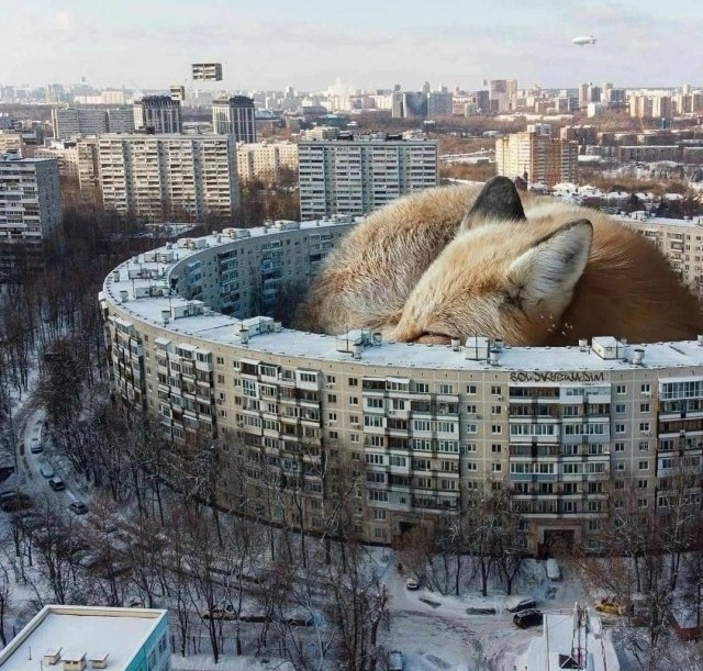 Так себе картинки 16.01.24