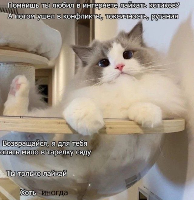 Деревенская Америка - 10