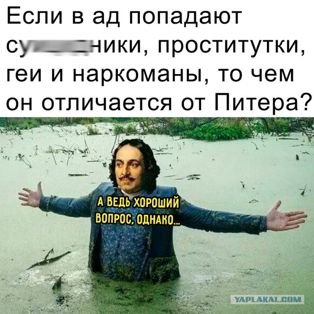Весёлый полтишок 17.06.24