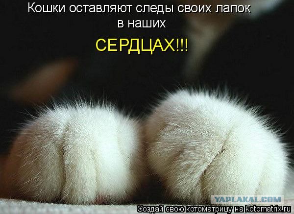 Горе пришло в мой дом