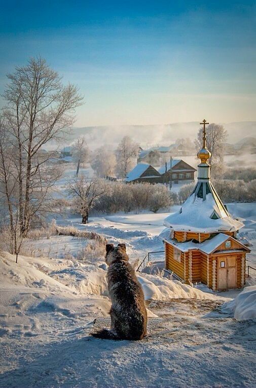 Прикольные и просто красивые картинки 10.12.2024