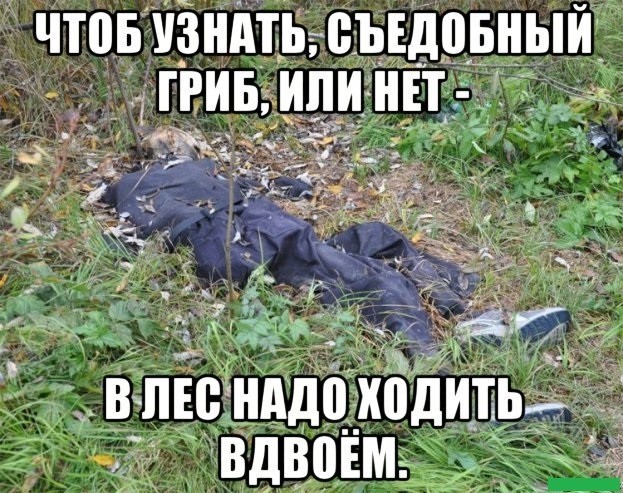 Пора деградировать. Дичь
