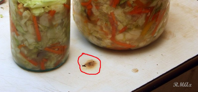 Квашеная капуста