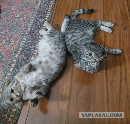 Вторник в деревне