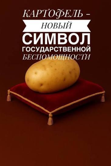 «Картофельный позор»: Минсельхоз довёл Россию до импорта «второго хлеба»