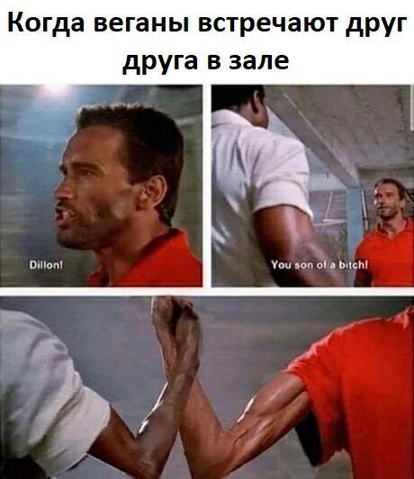 Люди, прогуливающие кладбище