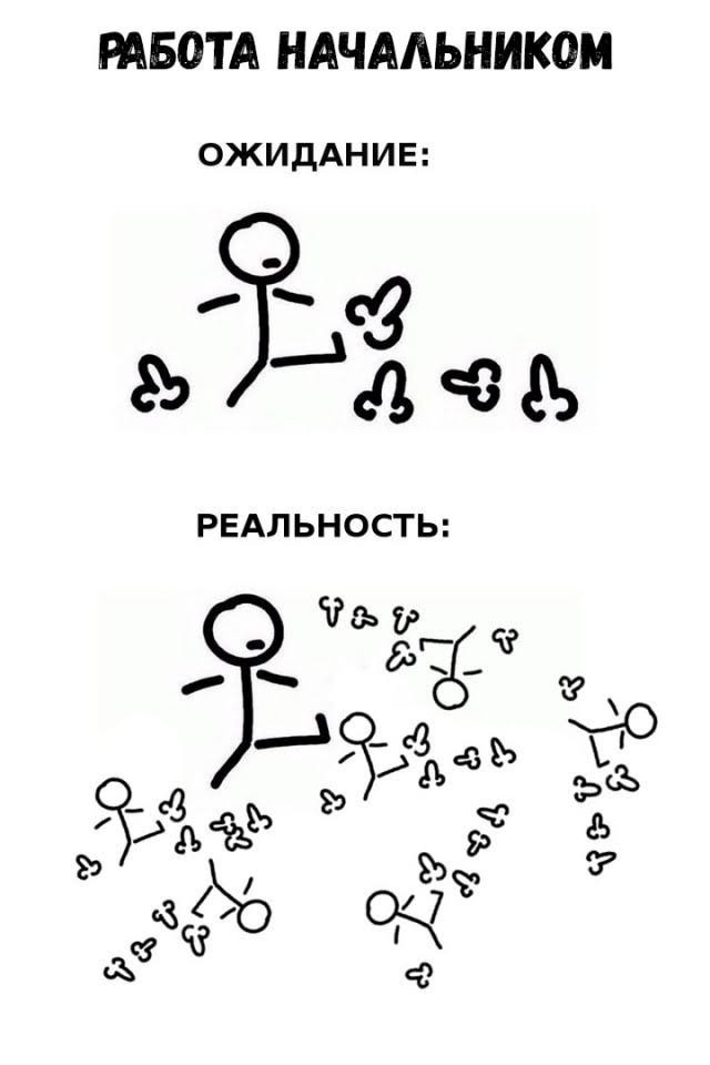 Небаянистая деградация 9