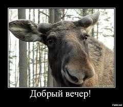 Патрикеевна на охоте