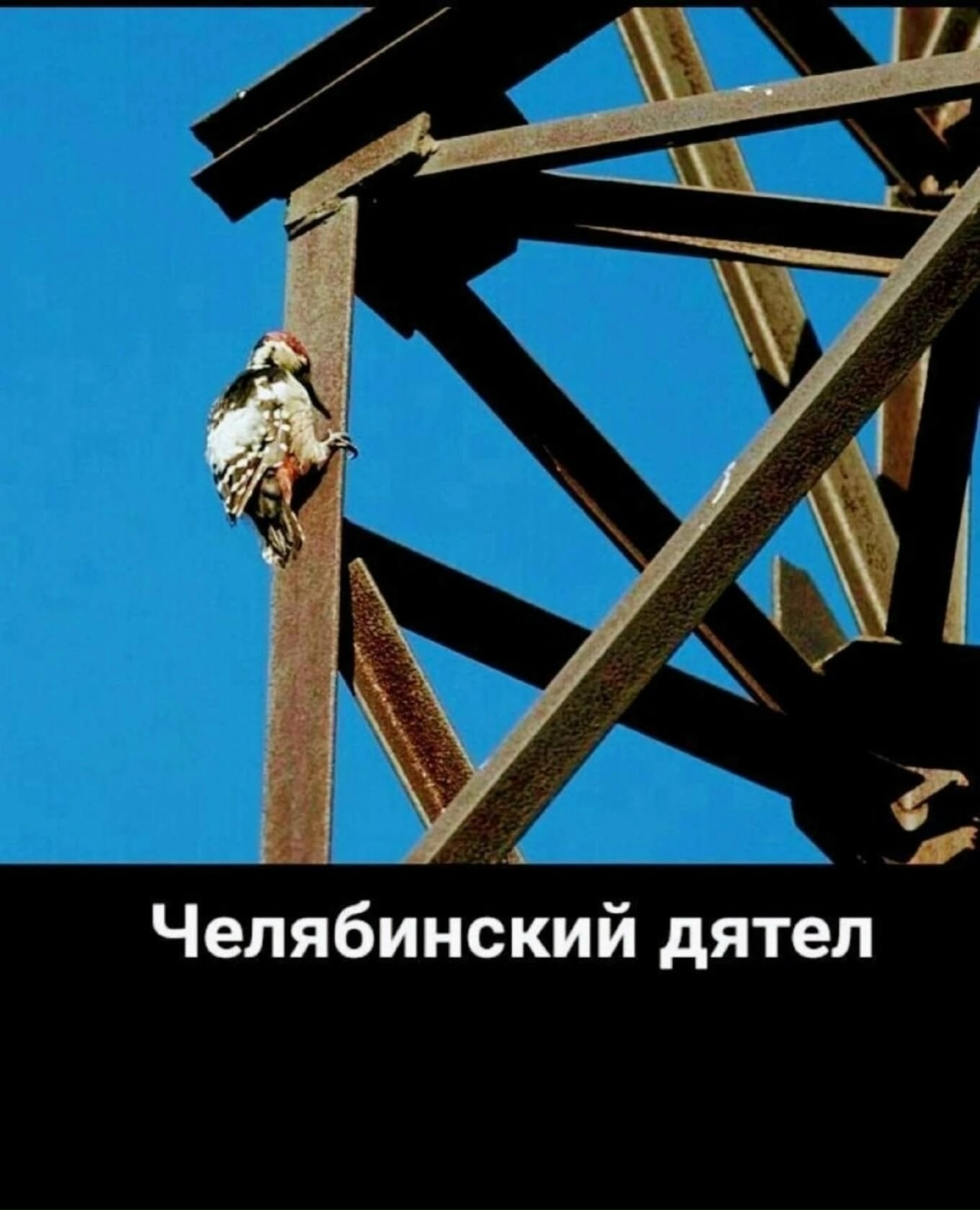 20761051.jpg