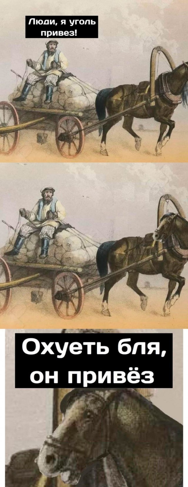 Самое масштабное поздравление с 8 Марта организовал фермер из Башкирии — ему помогли сотни лошадей
