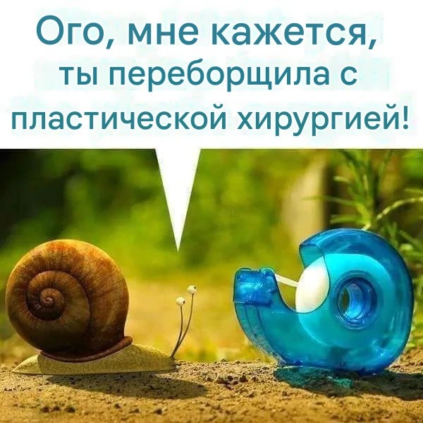 Веселые картинки в понедельник (25.05)